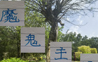 大連魔鬼主場(chǎng)，林良銘深感其威！