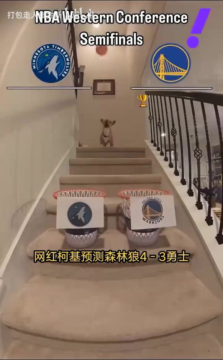 搶七決戰(zhàn)網(wǎng)紅柯基預(yù)測(cè)系列賽走向森林狼4比3戰(zhàn)勝勇士