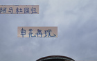 申花教練親承，阿馬杜回歸訓(xùn)練，黑人體質(zhì)顯優(yōu)勢(shì)。